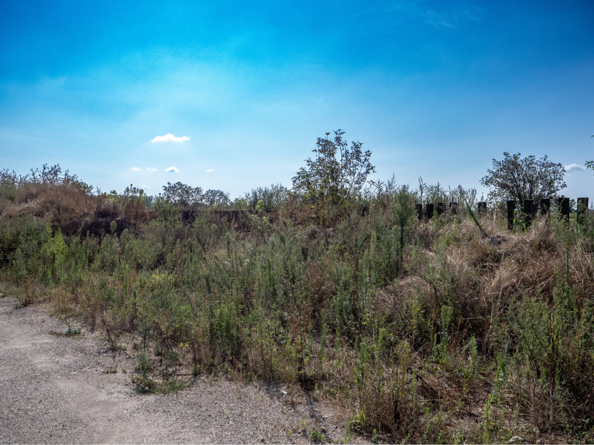 Fotografia nehnuteľnosti 8