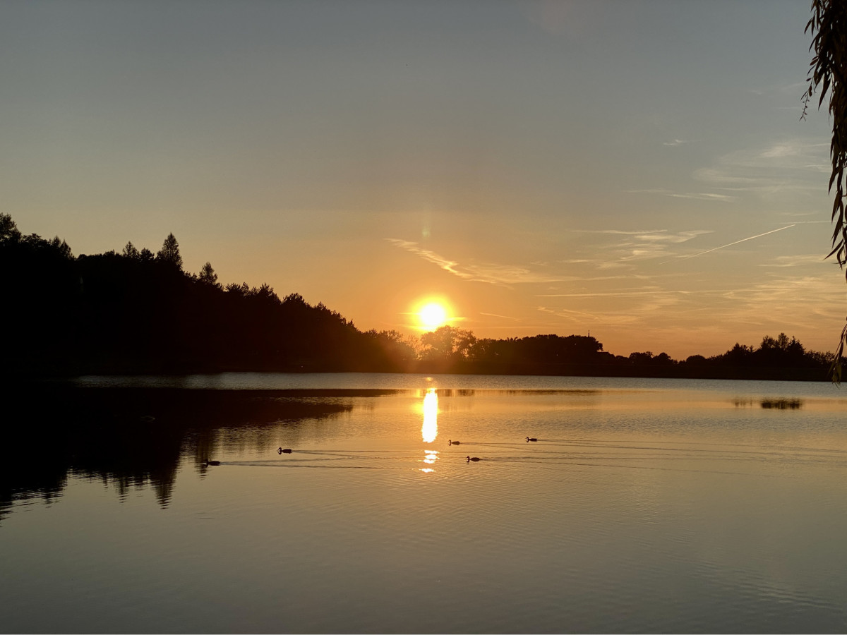 Fotografia nehnuteľnosti 23