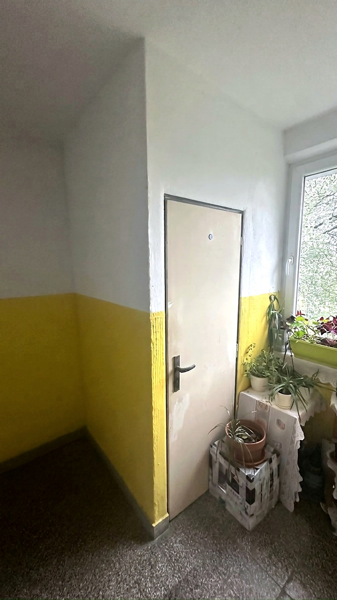 Fotografia nehnuteľnosti 16